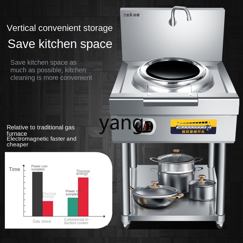 Profesjonalna indukcyjna kuche – Induction Cooker recenzja i cena